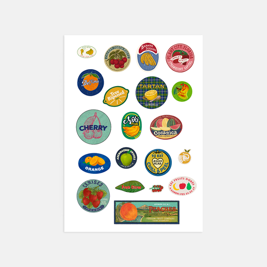 Fruit Stickers A5 Sticker Sheet